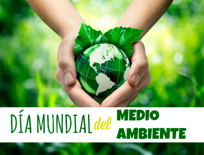 5-junio-medio-ambiente