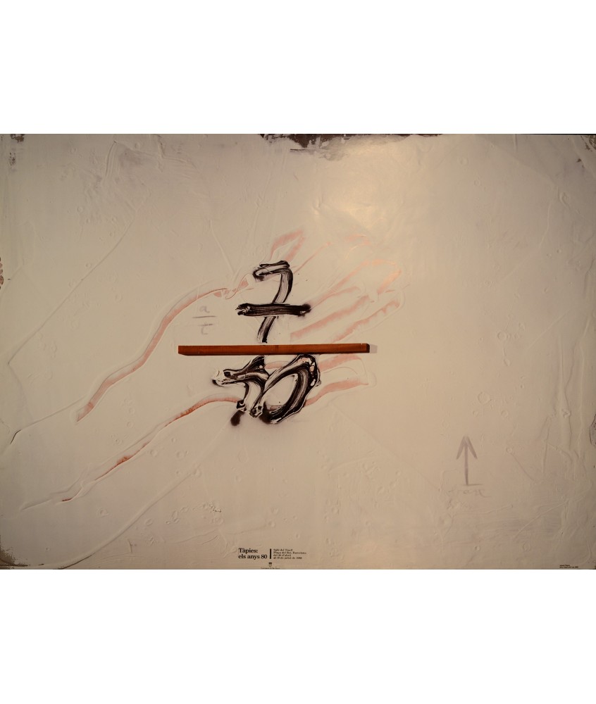 TAPIES: ELS ANYS 80