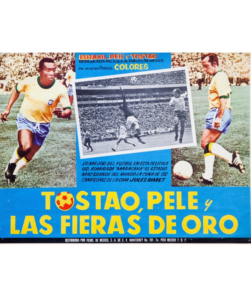 TOSTAO, PELE Y LAS FIERAS DE ORO