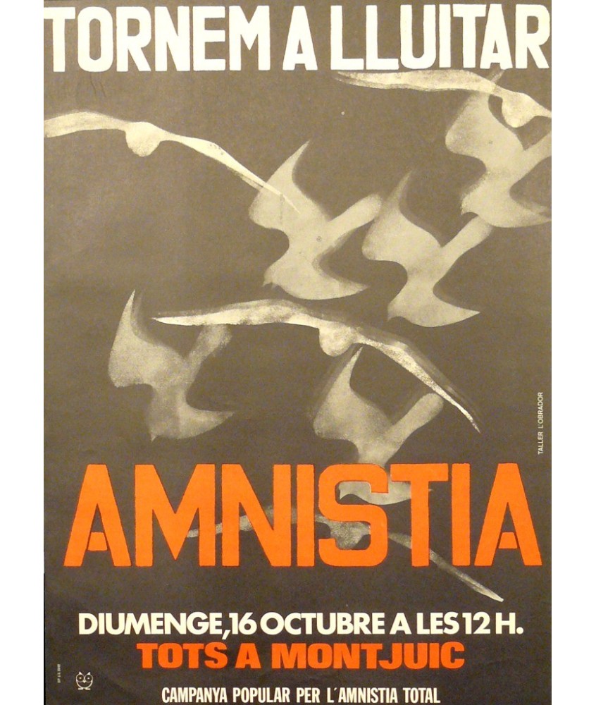 AMNISTIA