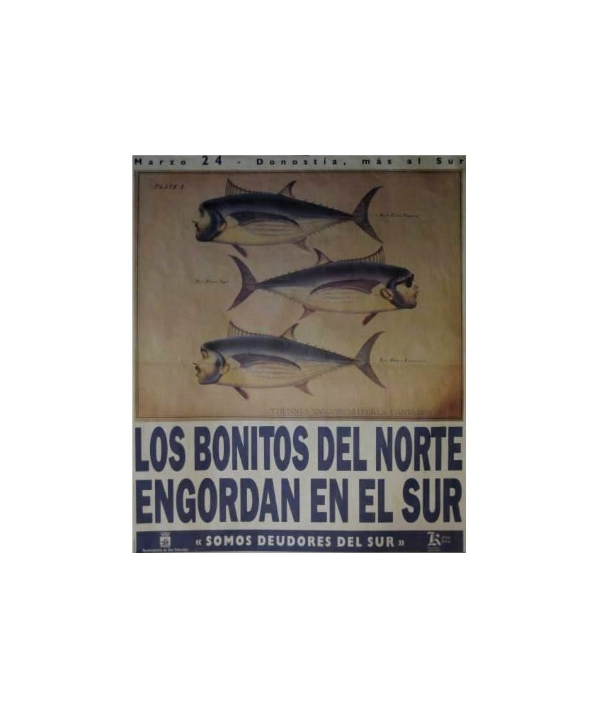 LOS BONITOS DEL NORTE ENGORDAN EN EL SUR