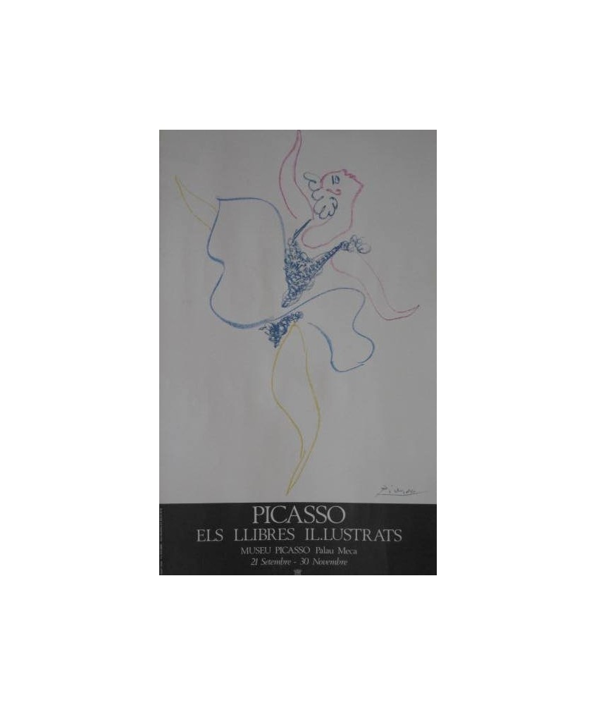 PICASSO - ELS LLIBRES IL·LUSTRATS