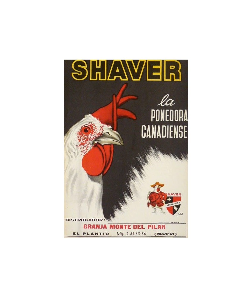 SHAVER, LA PONEDORA CANADIENSE