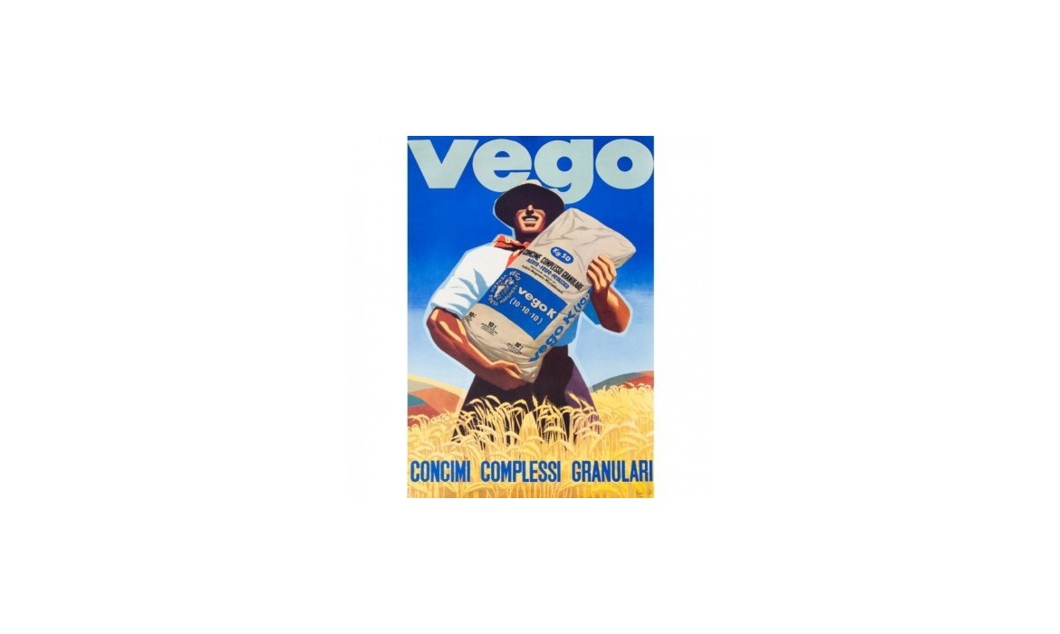 Vego