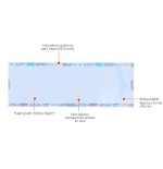 Bolsas autoadhesivas para esterilización 9x23cm  200 uds.