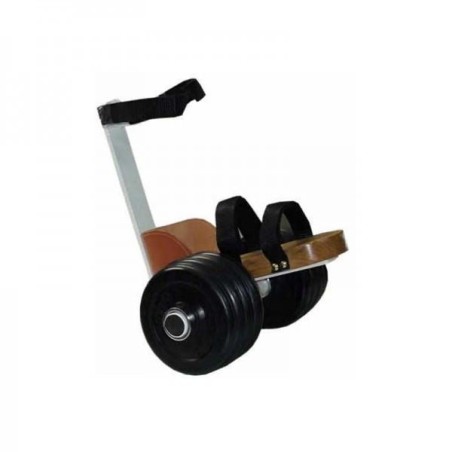 Muelle reader con asidero, para ejercicios de circunducción de muñeca.