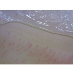 Microscopio digital CapillaryScope 200 Pro