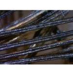 DermaScope Polarizer