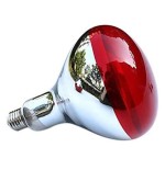 Bombilla de infrarrojos 275 W