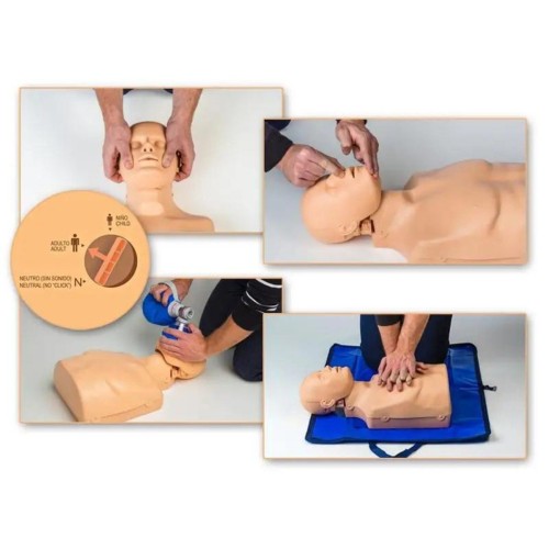 Simulador RCP Adulto /Bolsa de tte.