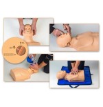 Simulador RCP Adulto /Bolsa de tte.