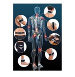 Equipo de Magnetoterapia Orthomag