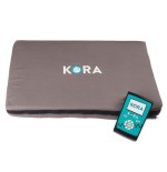 Equipo de magnetoterapia veterinaria KORA Kit Base