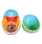 Modelo anatómico de calavera de colores línea "VALUE" - 3 partes - 1X